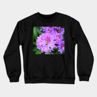 Rhododendron flower photo Crewneck Sweatshirt